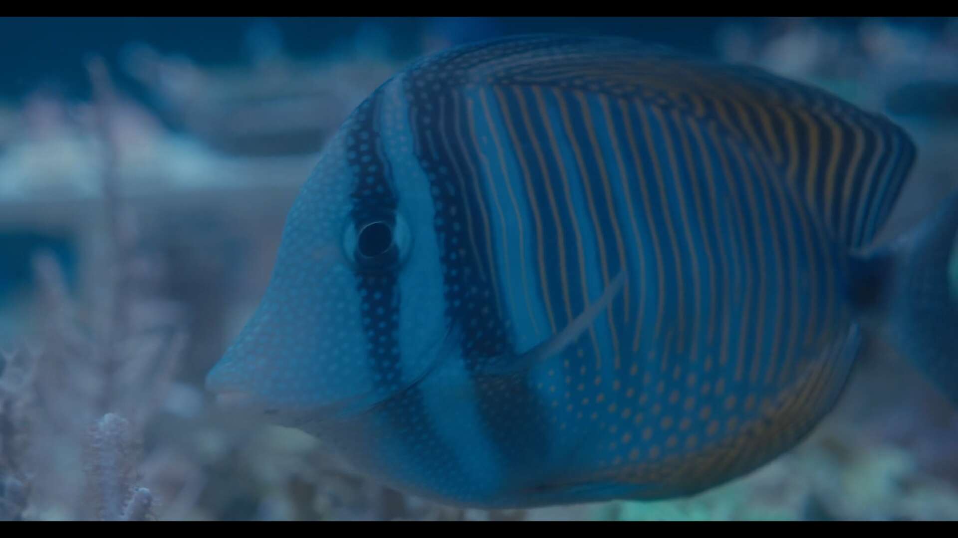 Still 3