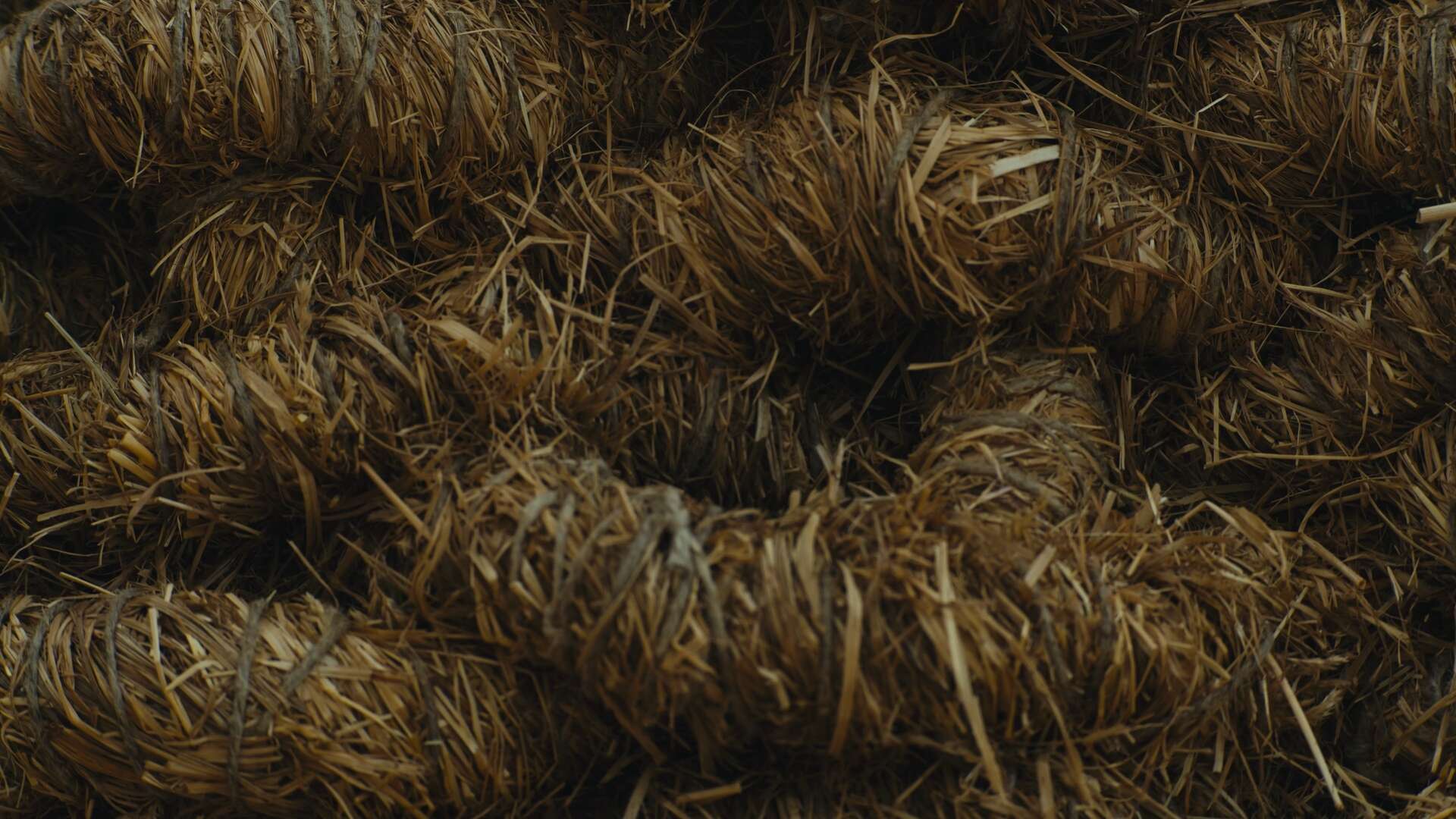 Still 13