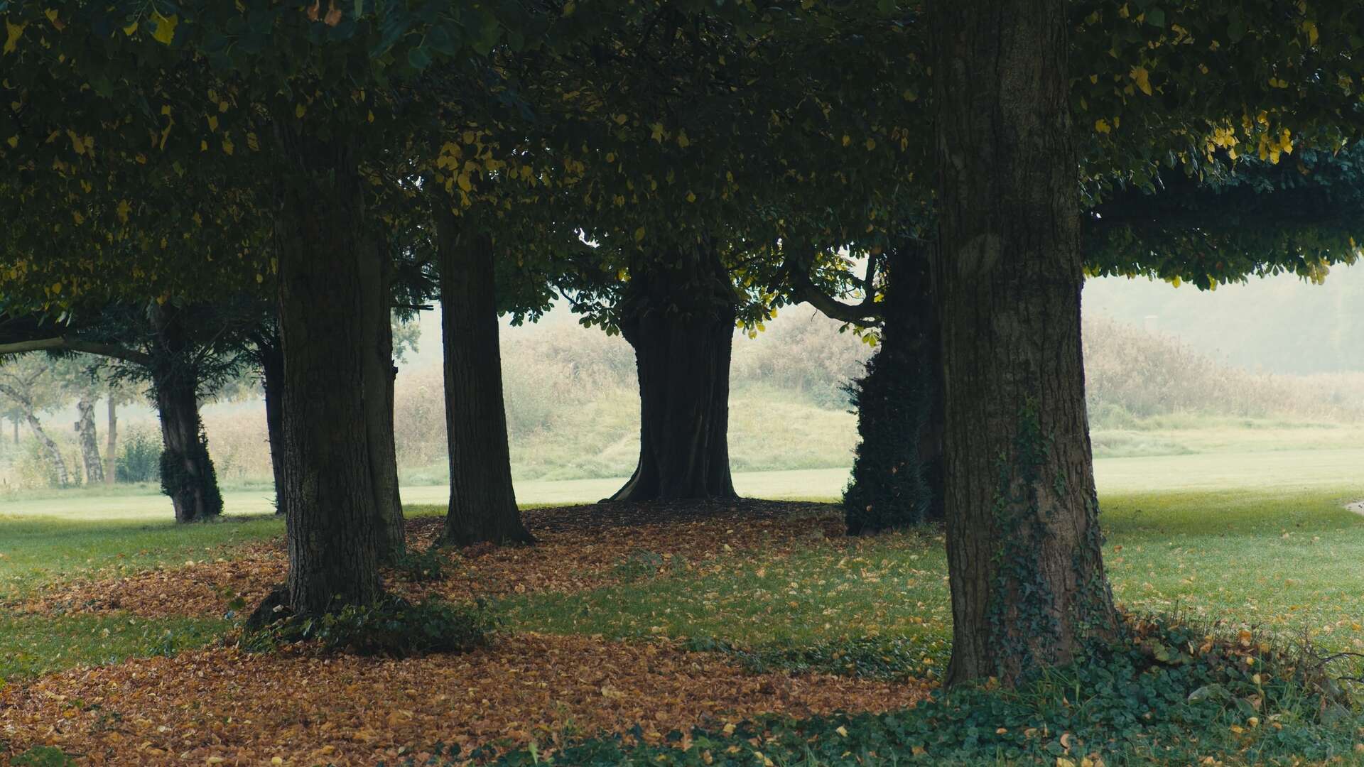 Still 2