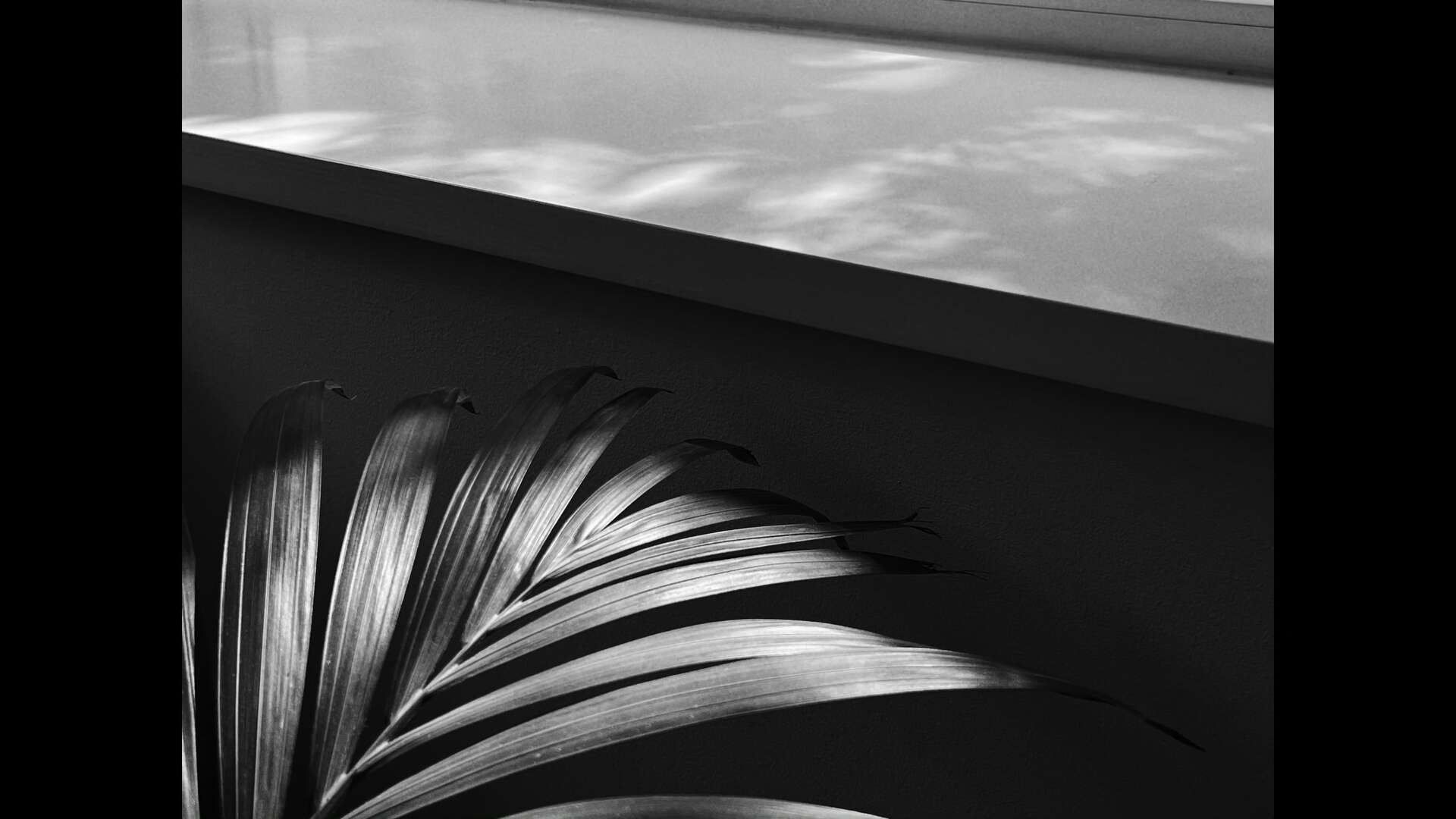 Still 5